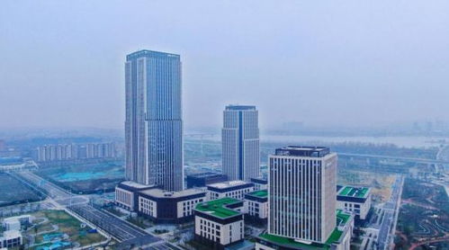 揚(yáng)州生態(tài)科技新城三項(xiàng)目入選省重點(diǎn)清單，以軟件驅(qū)動(dòng)“兩業(yè)融合”新篇章